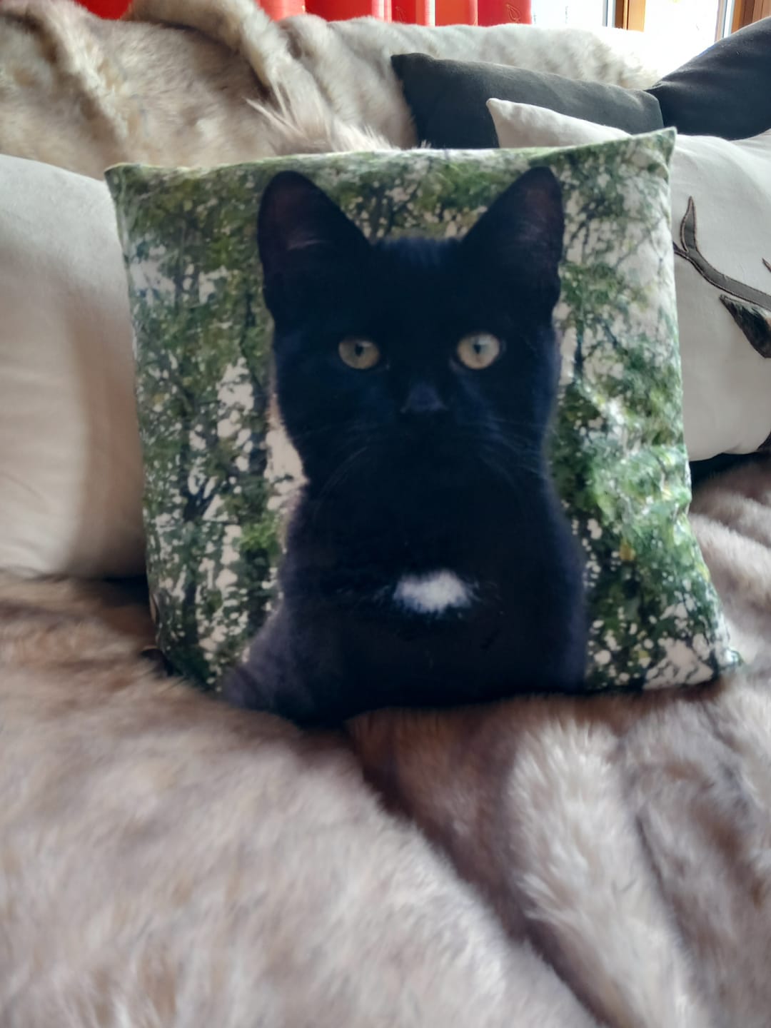 Customer photo review of Fotokissen - Individuelles Kissen