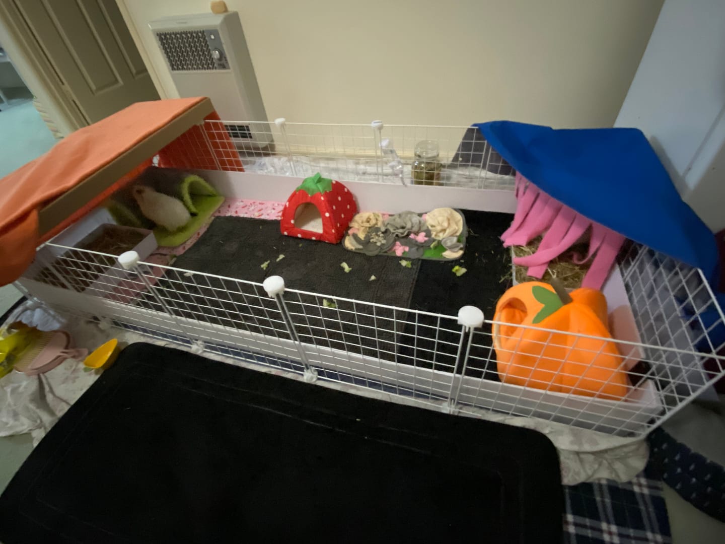 Customer photo review of Ozzy Cages 2x5 C&C Enclosure for Guinea Pigs