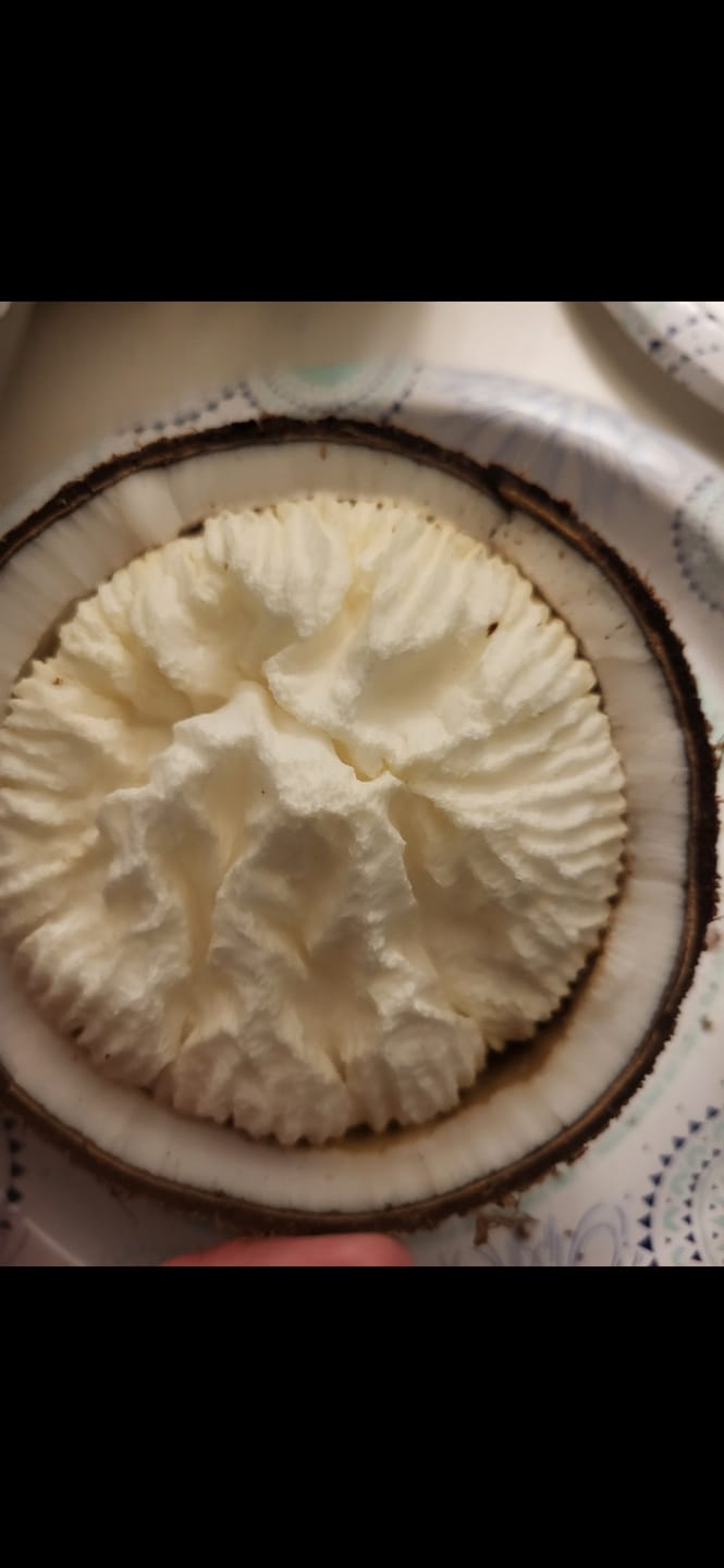 Customer photo review of Sprouted Coconut