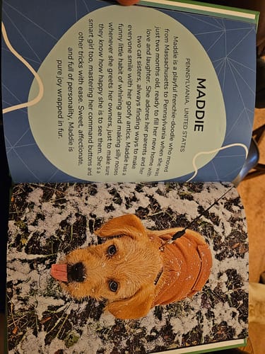 Customer photo review of Meet the Cutest Pets of Pupvote in the 2025 Photobook