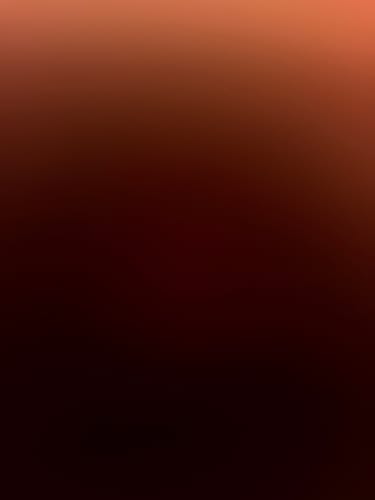 Customer photo review of Shot Gun Shell Shot Glass