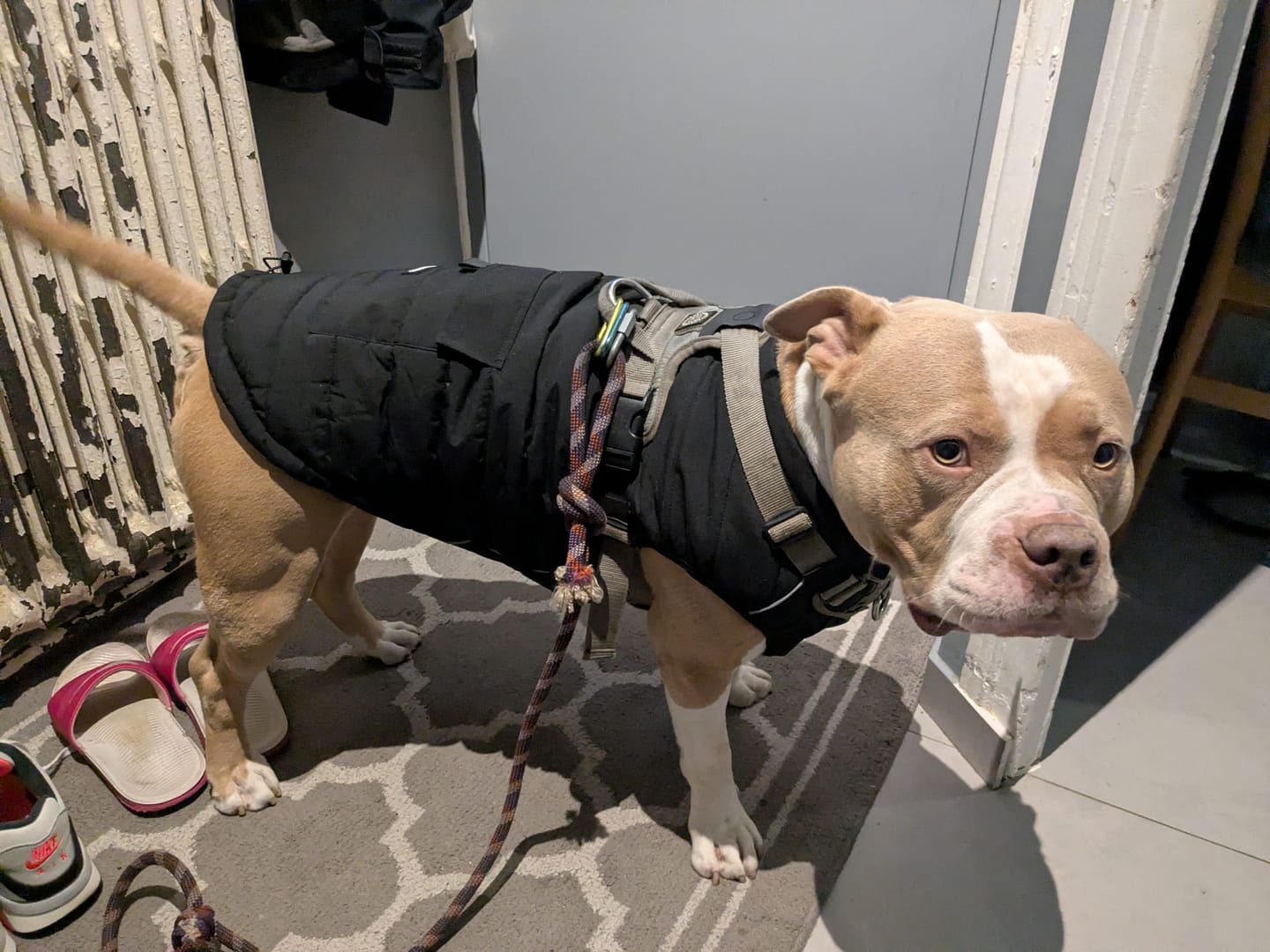 Customer photo review of WarmShield Water-Resistant Jacket - Black