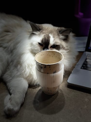 Customer photo review of Orchid Cup 12oz