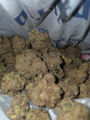 Customer photo review of Romulan THCA Flower