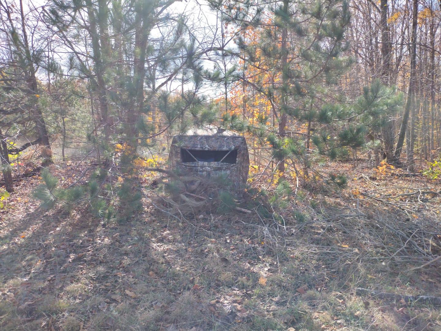 Customer photo review of Tidewe VisTrilogy See-Through Pop-Up Hunting Ground Blind for Deer, Turkey (4-6 Person)
