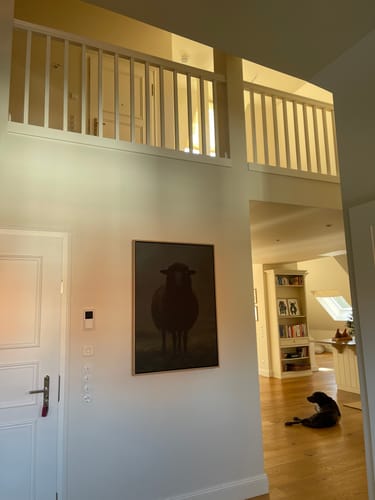 Customer photo review of Black Sheep Print