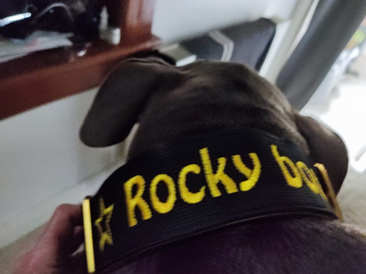 Customer photo review of Free Personalisation