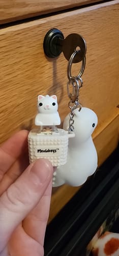 Customer photo review of Meowkey - Fidget Toy that Meows!