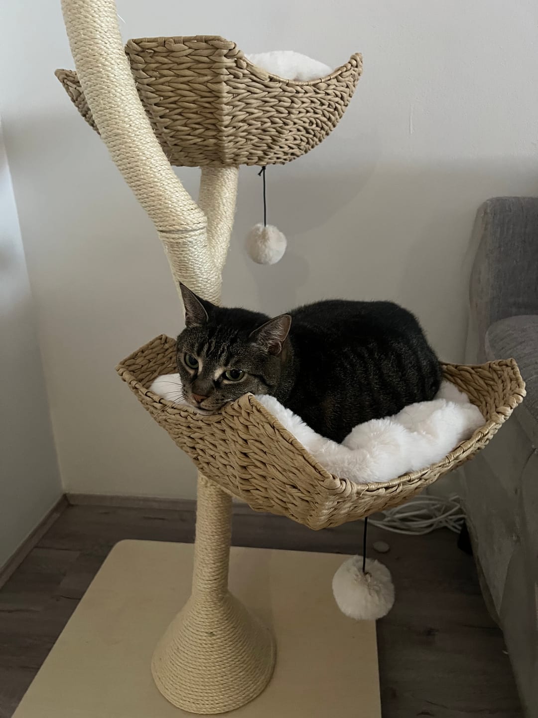 Customer photo review of MICHU Ivy Cat Tower Deluxe 4-Tier Designer Tall Cat Tree Pre Order