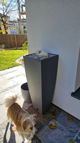 Customer photo review of YourCasa Regentonne 100-200 Liter [PureFlow] - Frostsicher & UV-beständig