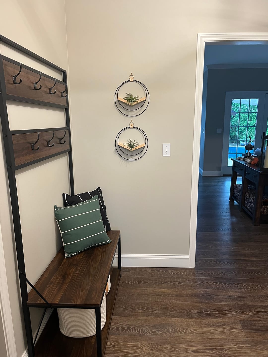 Customer photo review of Air Plant V-Hanger Duo