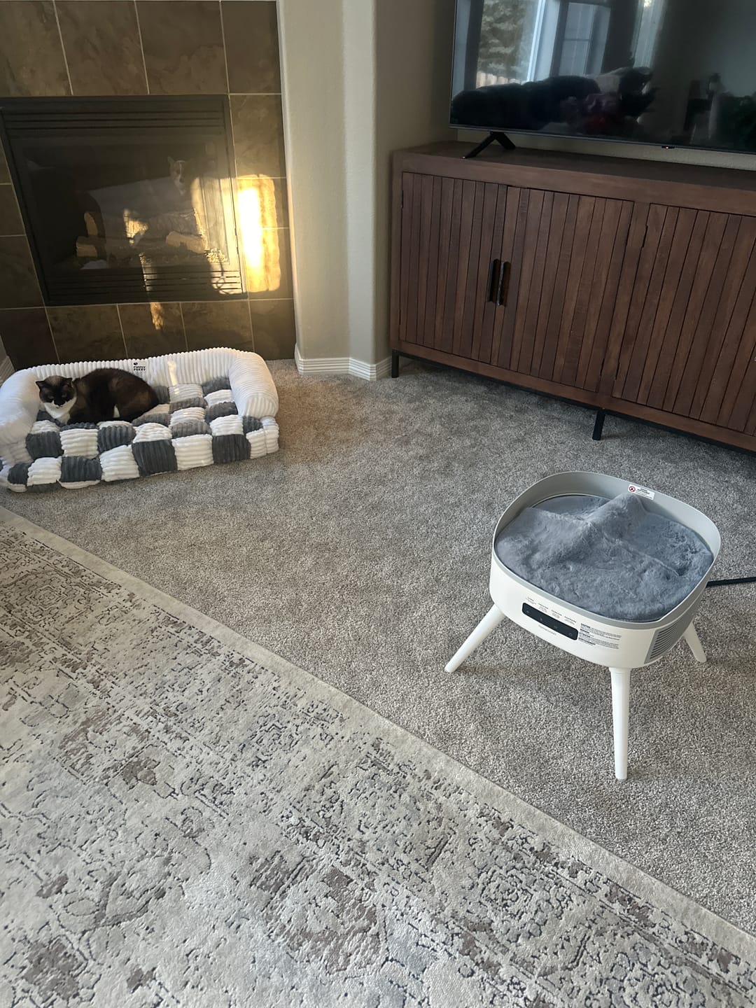 Customer photo review of Pet-Friendly Space Heater PH20