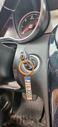 Customer photo review of Kennzeichen Schlüsselanhänger Mini Nummernschild Metall