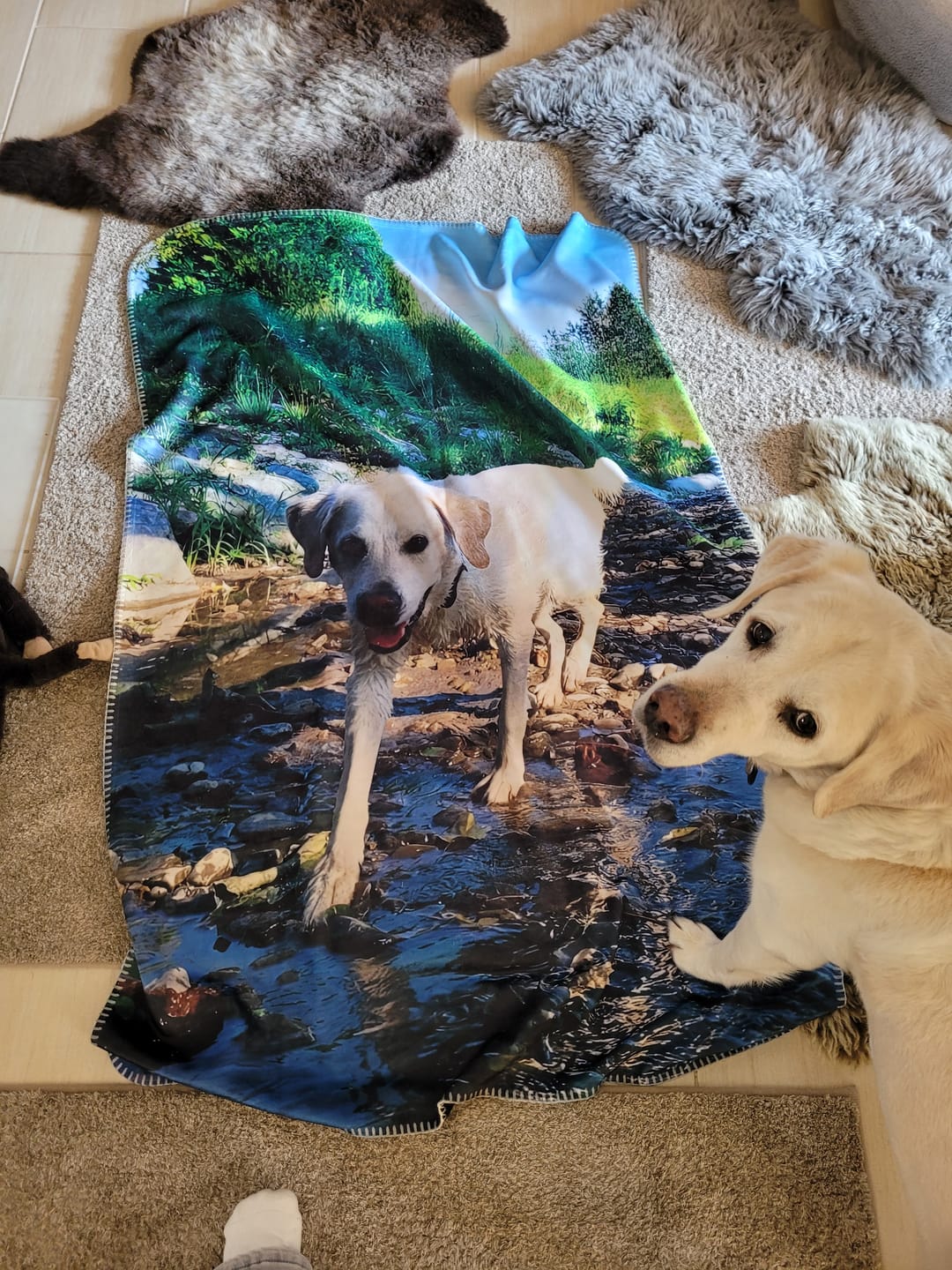 Customer photo review of Eigenes Foto - Individuelle Decke