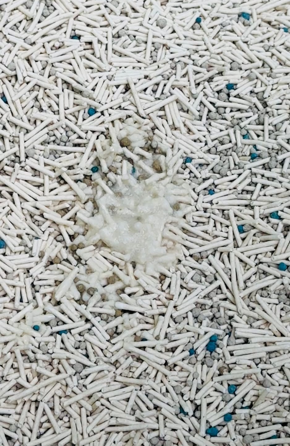 Customer photo review of Michu Mixed Tofu Cat Litter Lite 6L – Flushable, Eco-Friendly & Odour Control