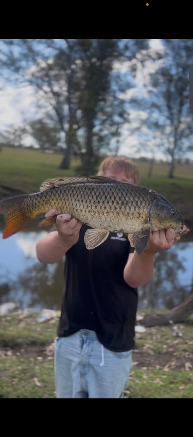 Customer photo review of GUPPIE SHAD