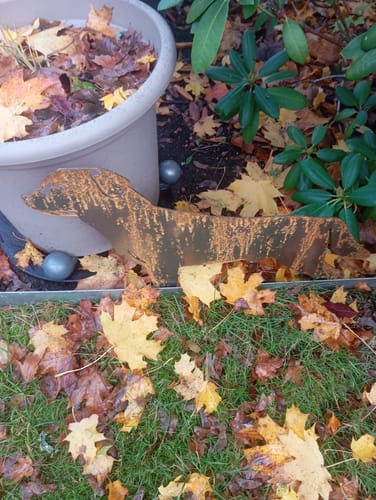 Customer photo review of Gartenstecker Labrador