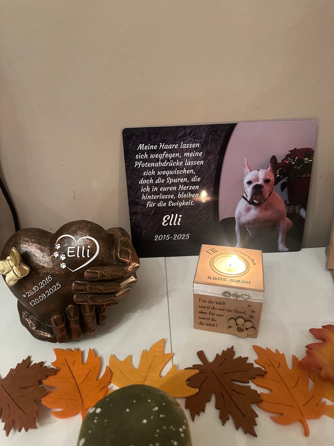 Customer photo review of Hunde Gedenktafel mit Foto & Spruch (UV- & Wetterfest)