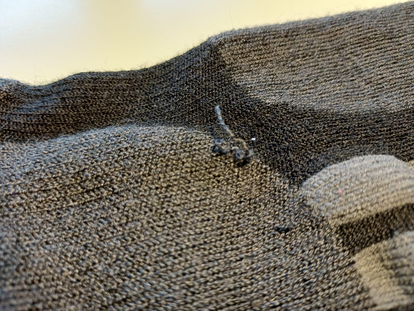 Customer photo review of Merino Wandersocken