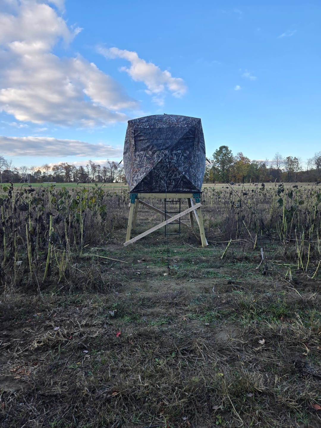 Customer photo review of OptiVue 360° Ultra-HD See-Through Hunting Blind with 90° Full-Access Door
