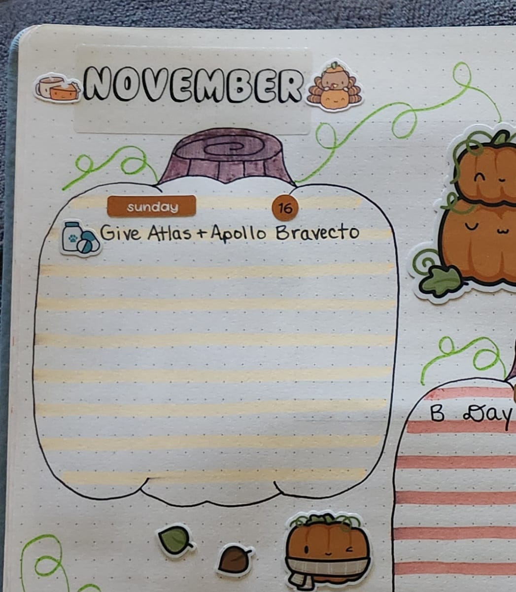 Customer photo review of Doggie Meds Planner Stickers