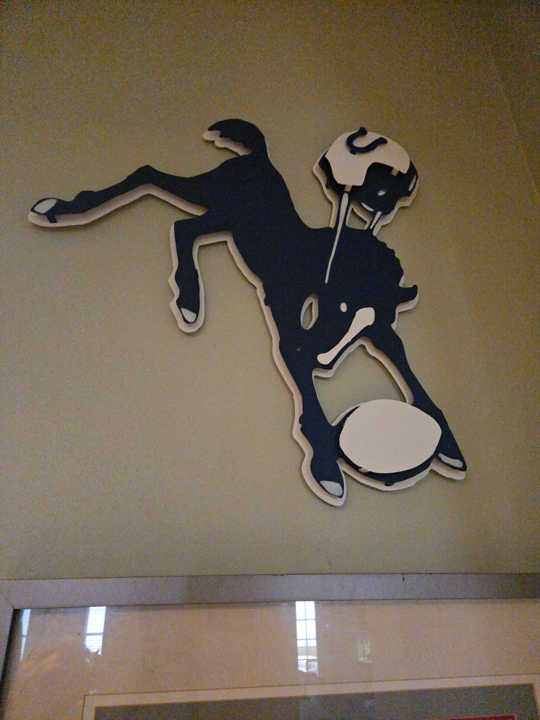 Customer photo review of Indianapolis Colts "Baltimore 1961" 3D Vintage Metal Wall Art