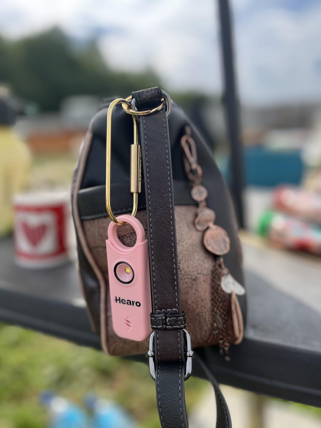 Customer photo review of HEARO