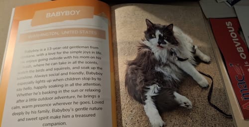 Customer photo review of Meet the Cutest Pets of Pupvote in the 2025 Photobook