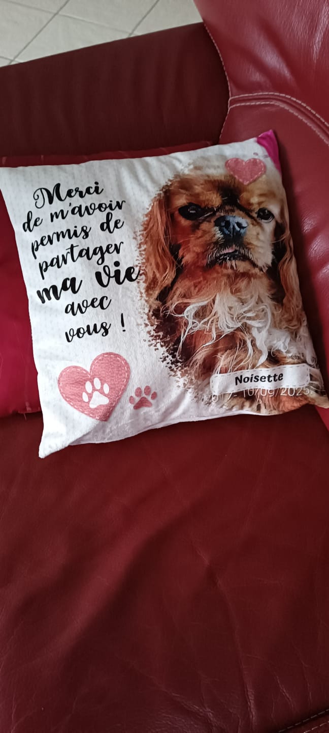 Customer photo review of Merci - Coussin personnalisé