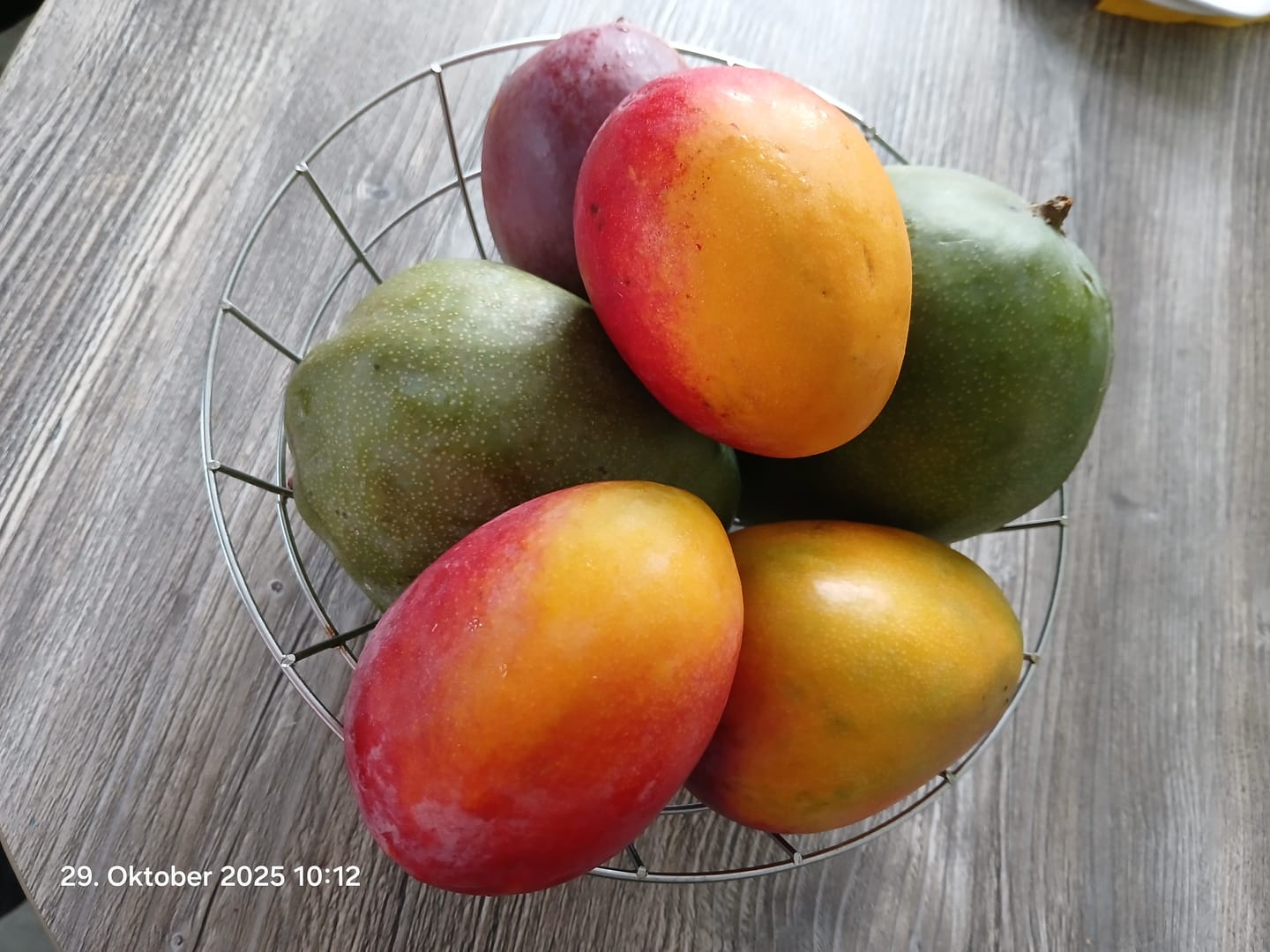 Customer photo review of Mango Kent Bio von Julian Sonderaktion %