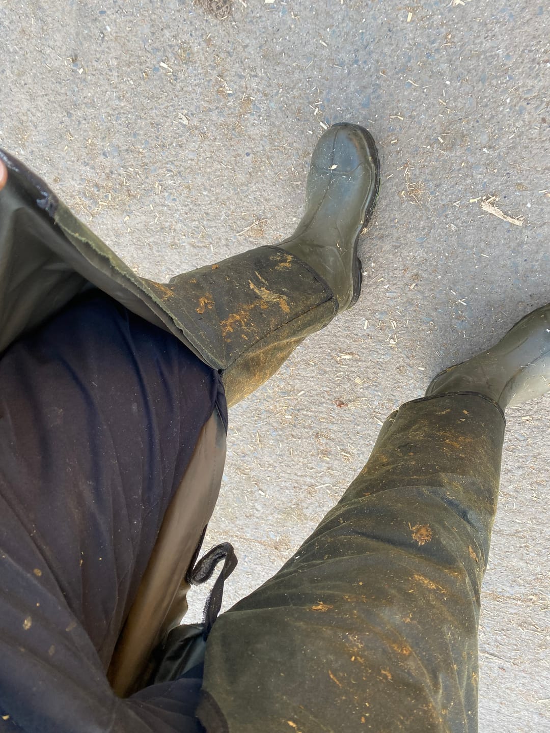 Customer photo review of Hoggs Waxed Treggings