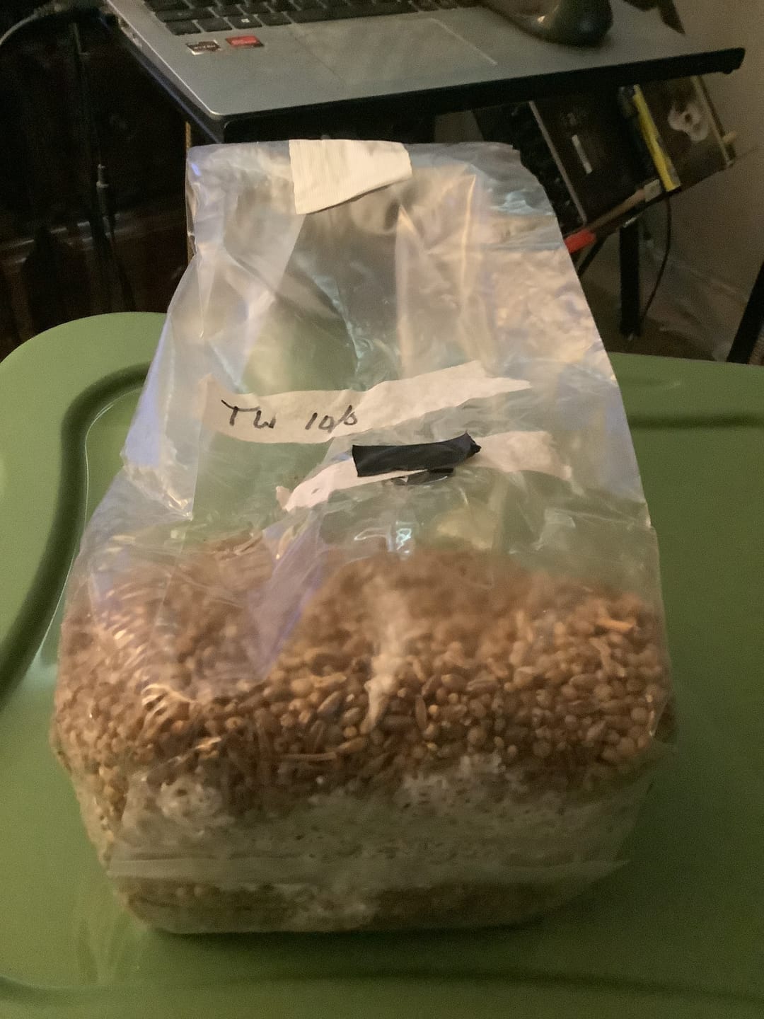 Customer photo review of Multi-Grain Spawn Bag