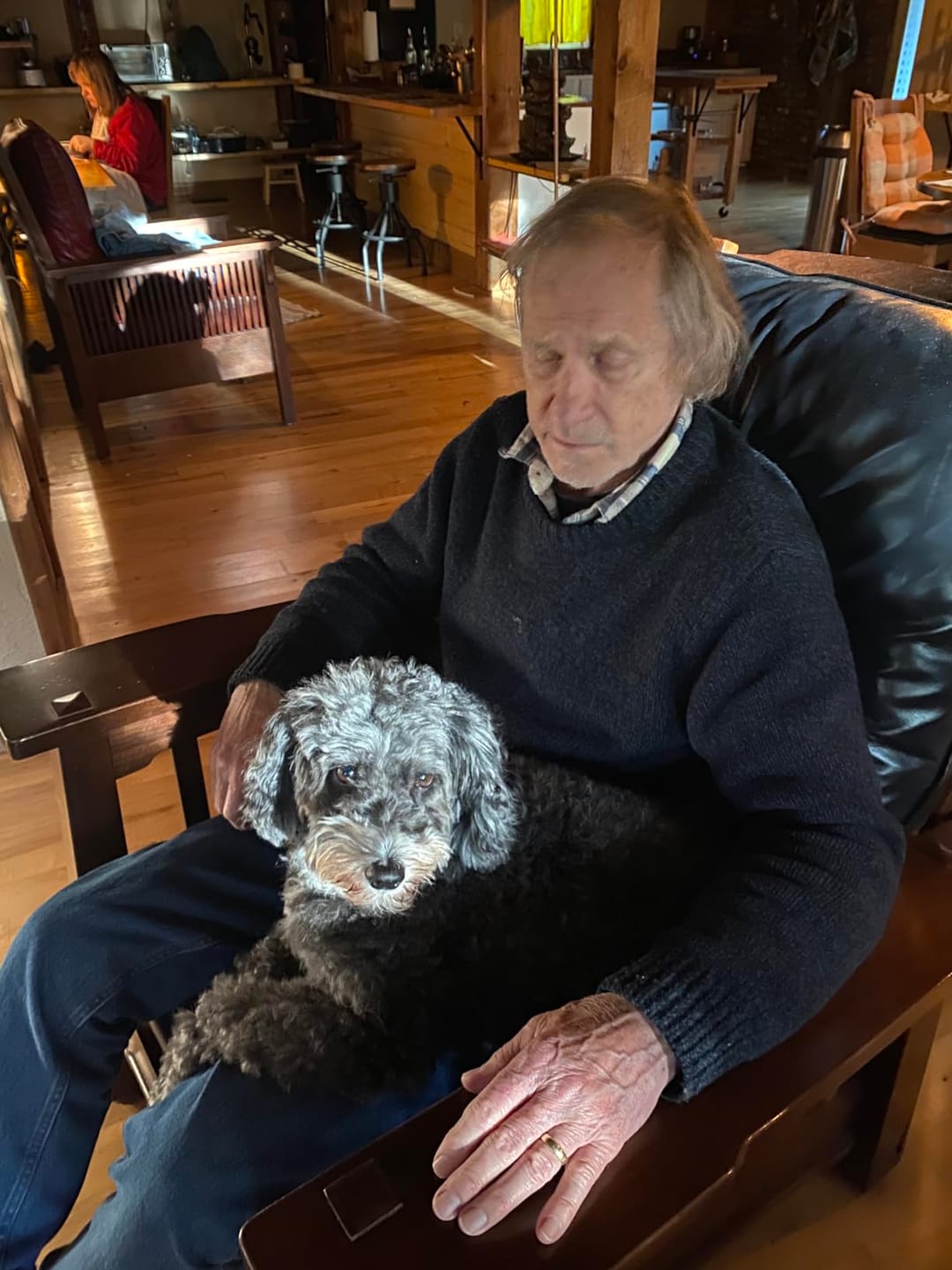 Customer photo review of [HOT SALE] 3-in-1 Pet Grooming Hair Dryer