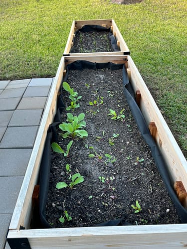 Customer photo review of 18" x 48" Raised Garden Bed - 30" TALL