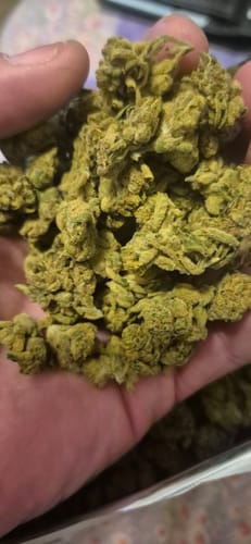 Customer photo review of Fresh Lows Lounge