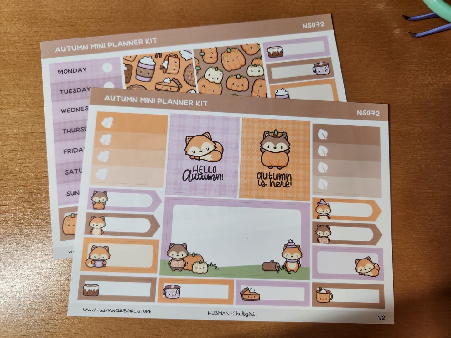 Customer photo review of Autumn Mini Planner Kit (Set of 2)