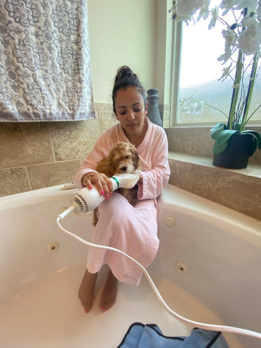 Customer photo review of [HOT SALE] 3-in-1 Pet Grooming Hair Dryer