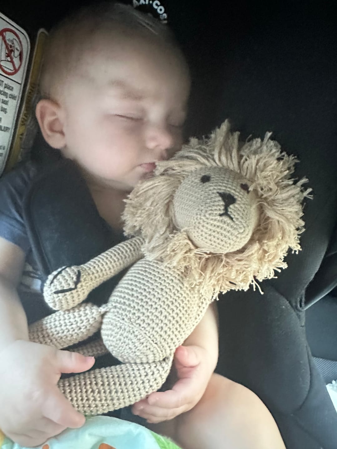 Customer photo review of Leo the Lion Crochet Toy