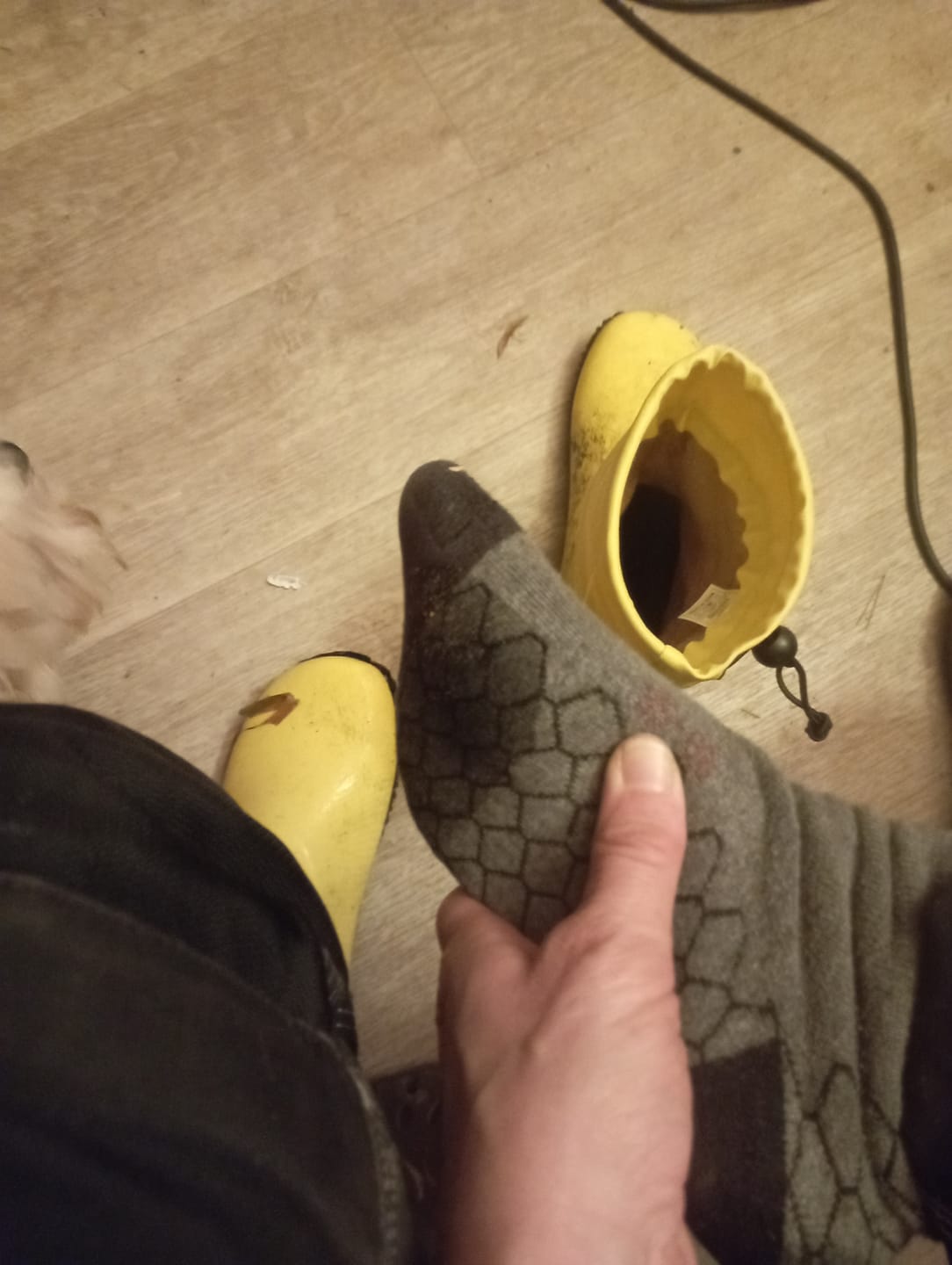 Customer photo review of Brisk Ⅰ - Barfuß-Gummistiefel