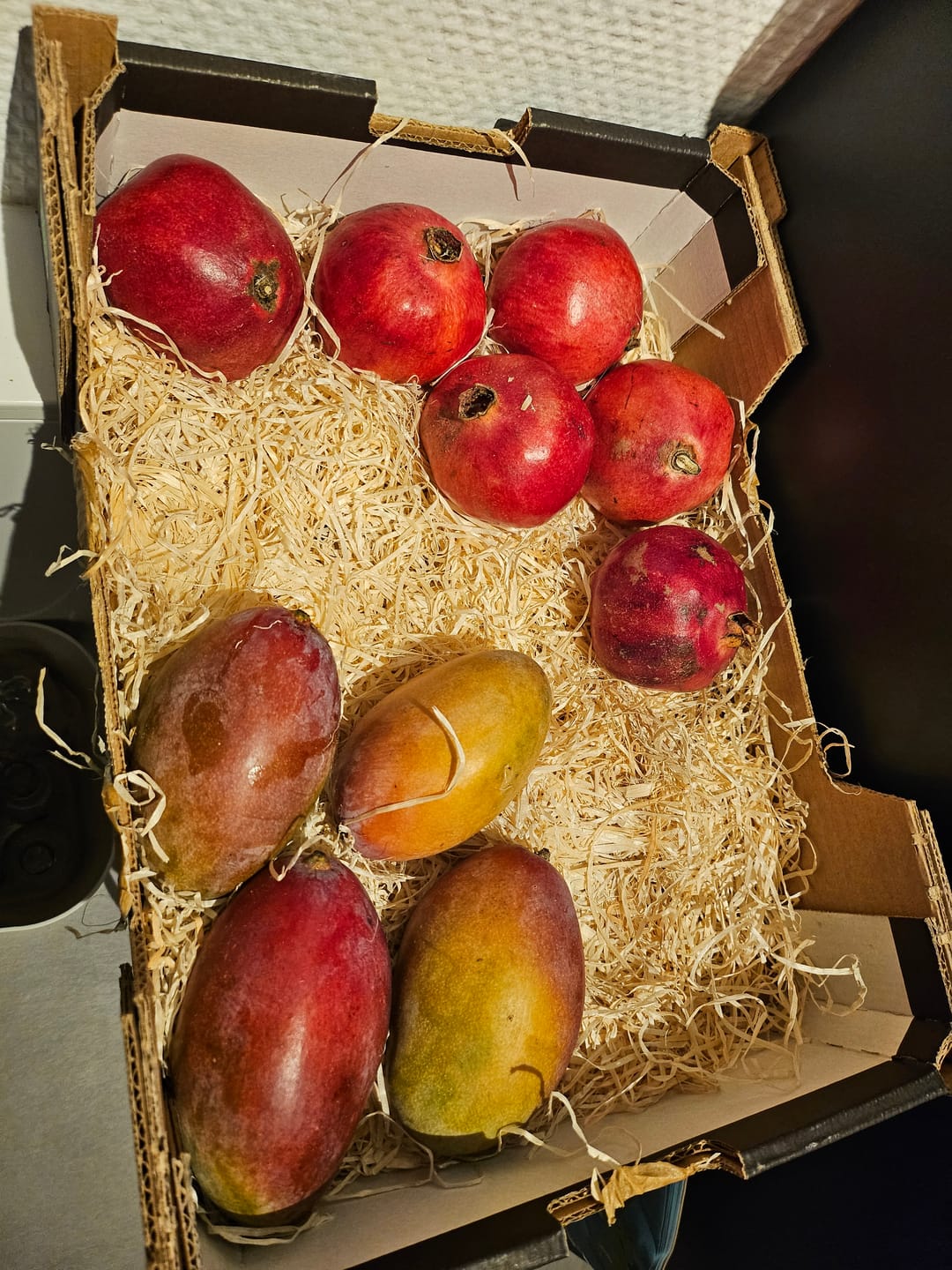 Customer photo review of Mango & Granatapfel Retterbox %