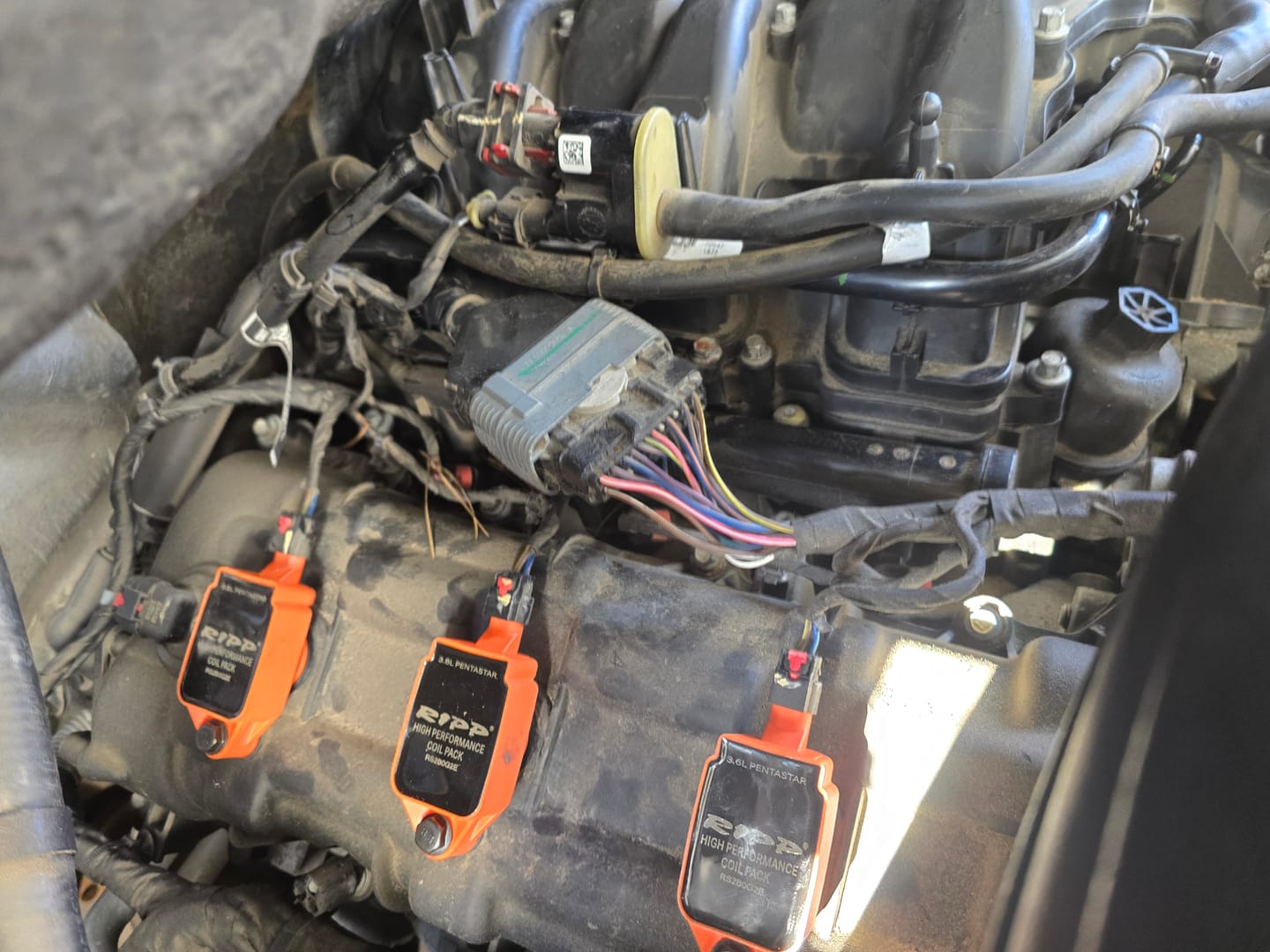 Customer photo review of RIPP V6 High Performance Coil Packs