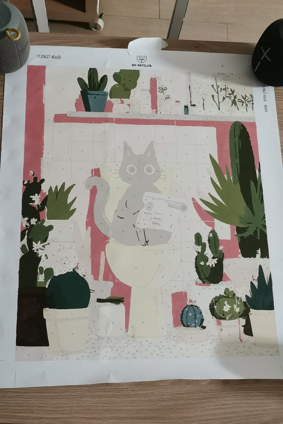 Customer photo review of The black cat on the toilet | Paint by Number