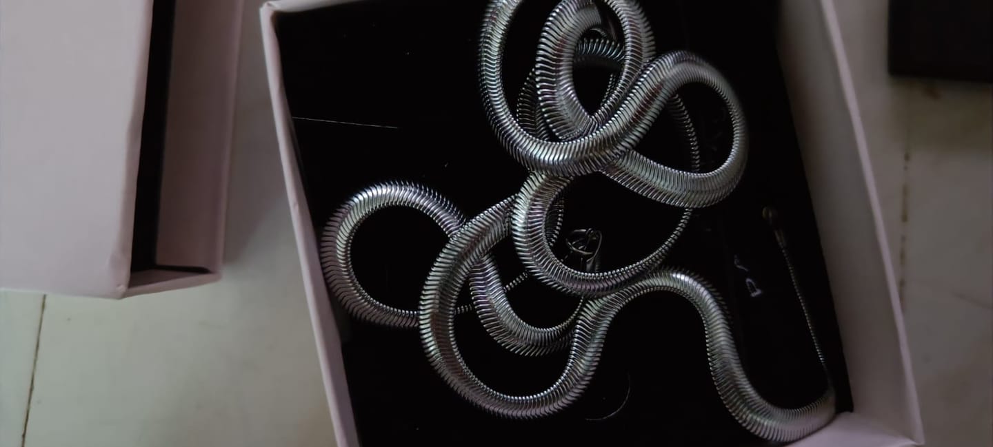 Customer photo review of Slinky Serpent Chain | 6 MM