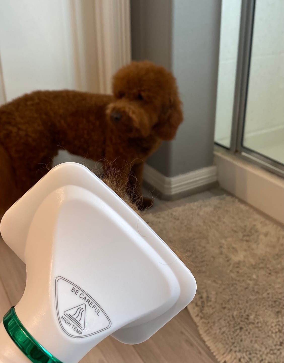 Customer photo review of [HOT SALE] 3-in-1 Pet Grooming Hair Dryer