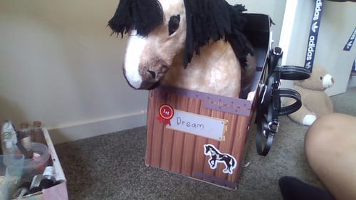 Customer photo review of LeMieux Toy Pony - Dream