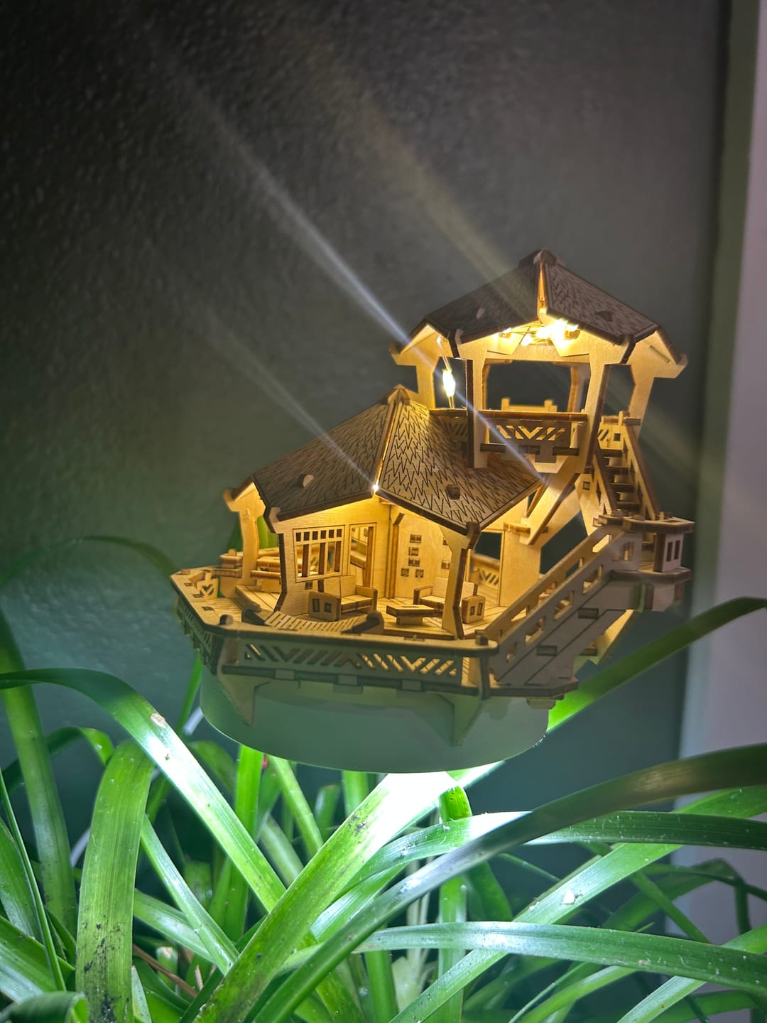Customer photo review of Sunrise Terrace + Grow Light