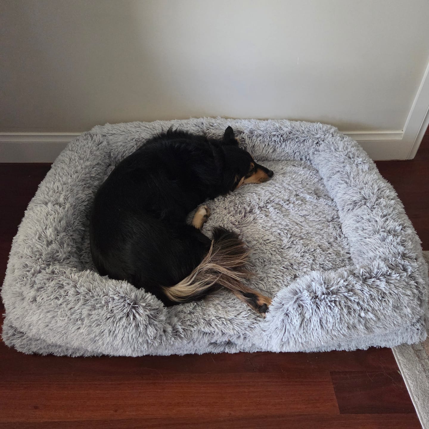 Customer photo review of Pet Orthopaedic Bed