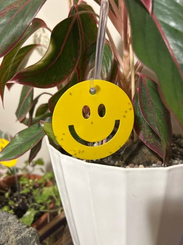 Customer photo review of Killer Smiles