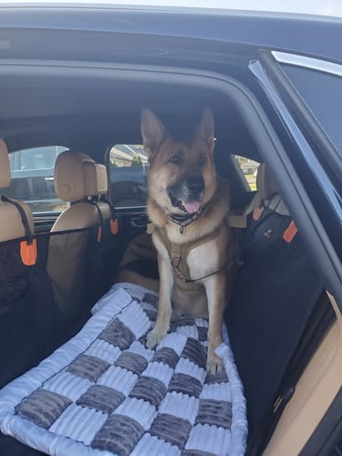 Customer photo review of RuffRover 2.0™ - Hard Bottom Back Seat Extender + (FREE Dog Bed)