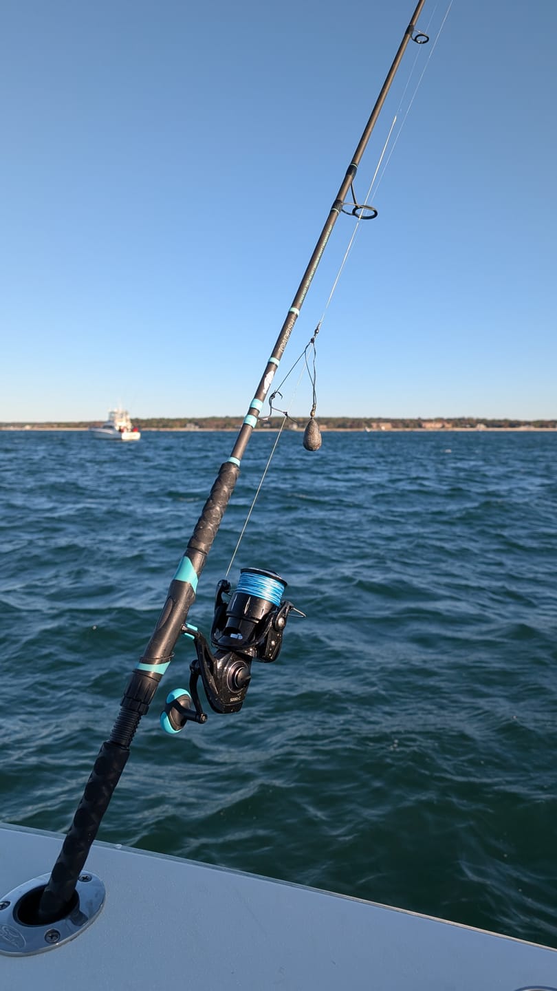 Customer photo review of Carbon Elite Nearshore Spinning Reels